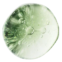Collagen Type XVII (COL17A1)