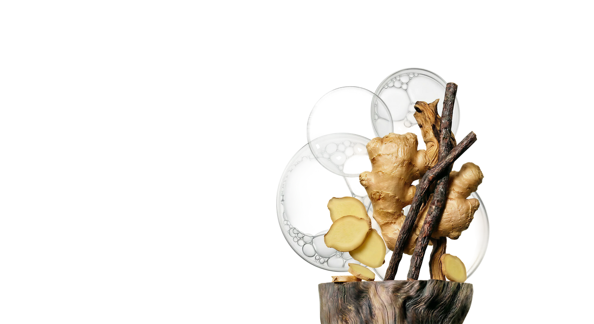 Ginger Root
